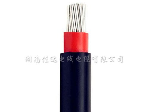 樱桃操逼视频系列