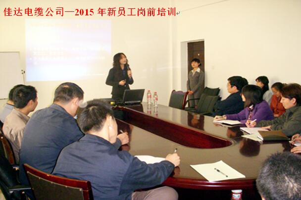 湖南樱桃免费视频电线电缆有限公司,樱桃免费视频电线电缆,樱桃视频大全免费高清版观看系列,控制电缆,电线电缆企业哪里好