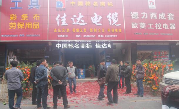 湖南樱桃免费视频电线电缆有限公司,樱桃免费视频电线电缆,樱桃视频大全免费高清版观看系列,控制电缆,电线电缆企业哪里好