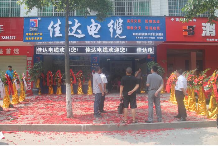 湖南樱桃免费视频电线电缆有限公司,樱桃免费视频电线电缆,樱桃视频大全免费高清版观看系列,控制电缆,电线电缆企业哪里好