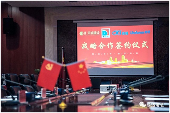 樱桃免费视频电缆有限公司,樱桃免费视频电缆,湖南樱桃免费视频，