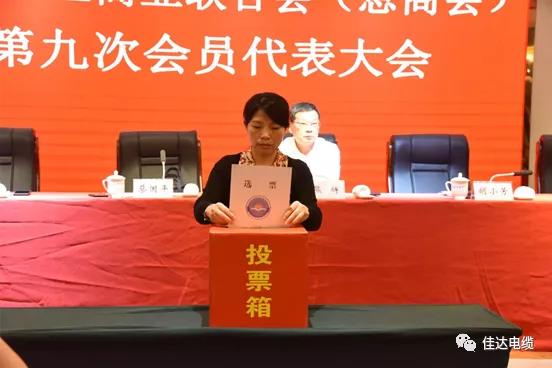 樱桃免费视频电缆有限公司,樱桃免费视频电缆,湖南樱桃免费视频，